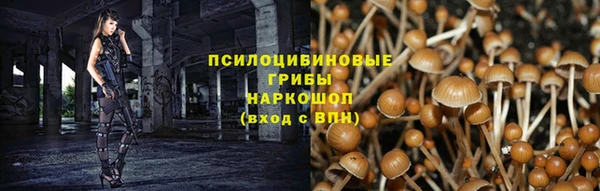 меф Нефтегорск