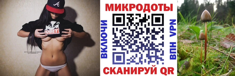 купить наркотик  Александровск-Сахалинский  Галлюциногенные грибы Psilocybe 